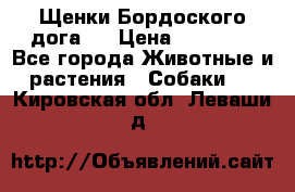 Щенки Бордоского дога.  › Цена ­ 30 000 - Все города Животные и растения » Собаки   . Кировская обл.,Леваши д.